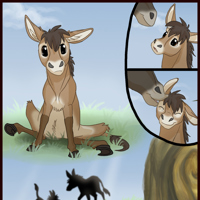 Sequence Image 5