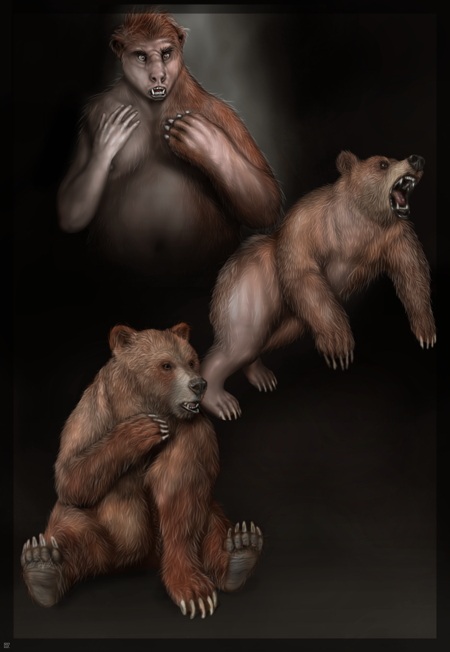 The ultimate bear experience by Splice