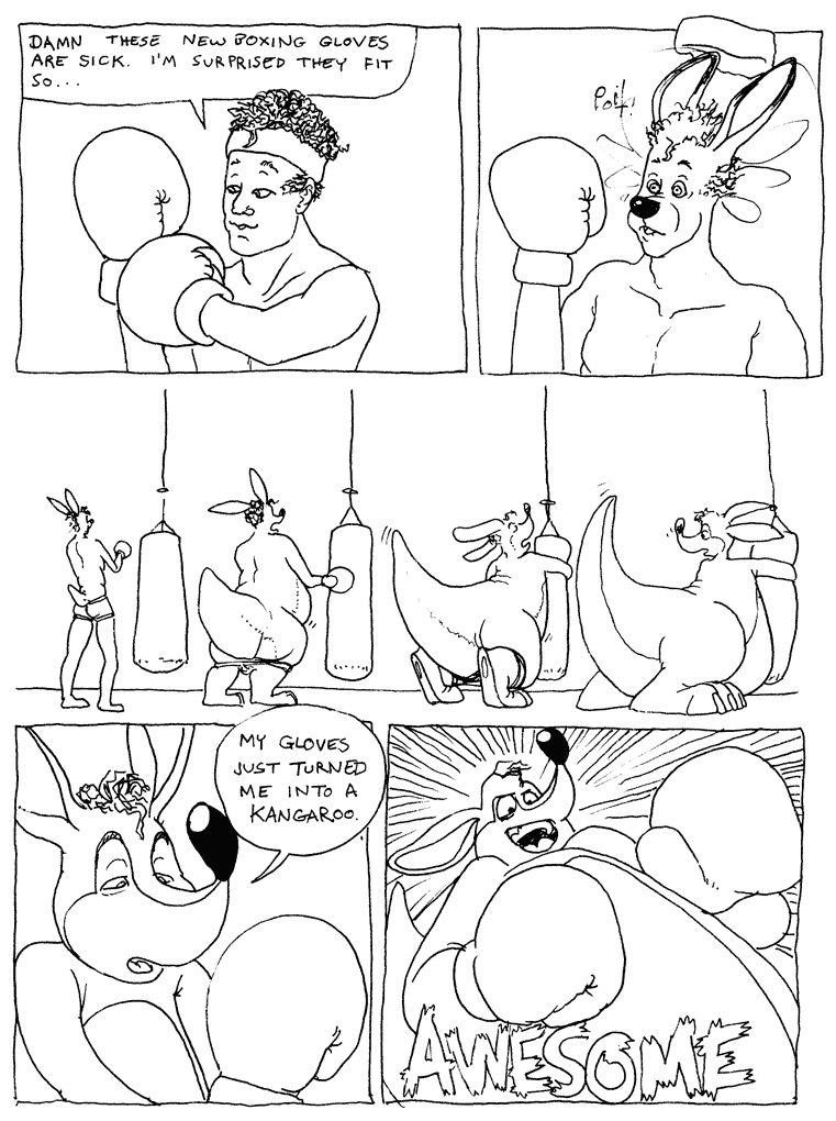 Kangaroo Boxer by Swatcher