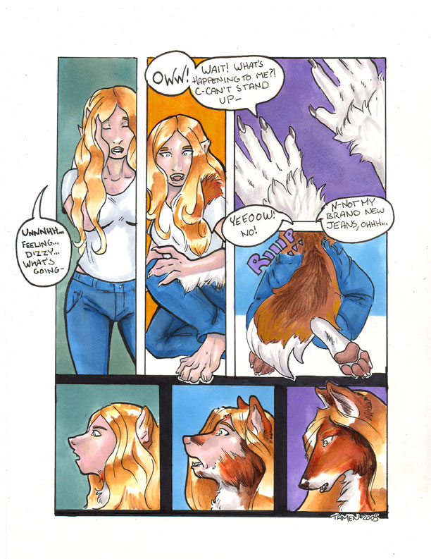 collie by Tamen