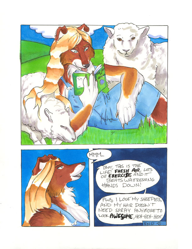 collie by Tamen