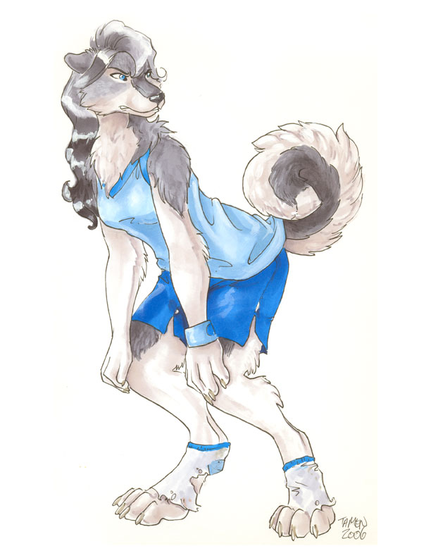 huskytf by Tamen