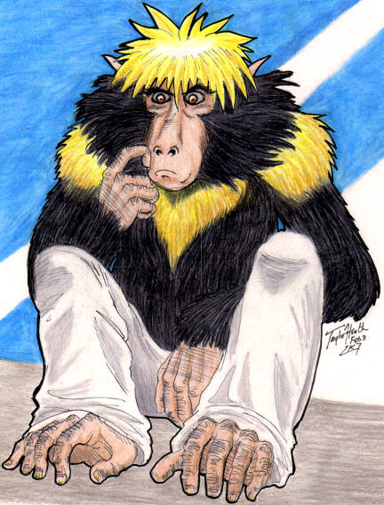 KejiBaboon by TayMonkey