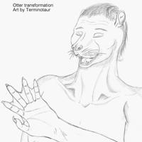 OtterTF-DS by Terminotaur