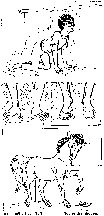 horse-tf by Tim-Kangaroo