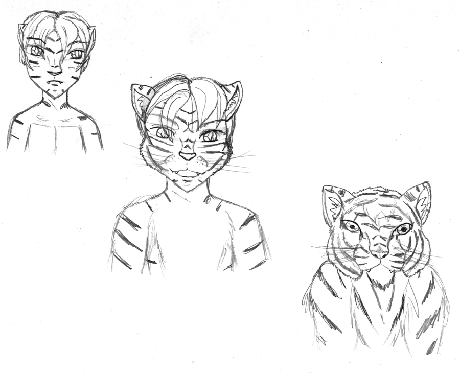 Tiger Tiger WIP by TimidTabby