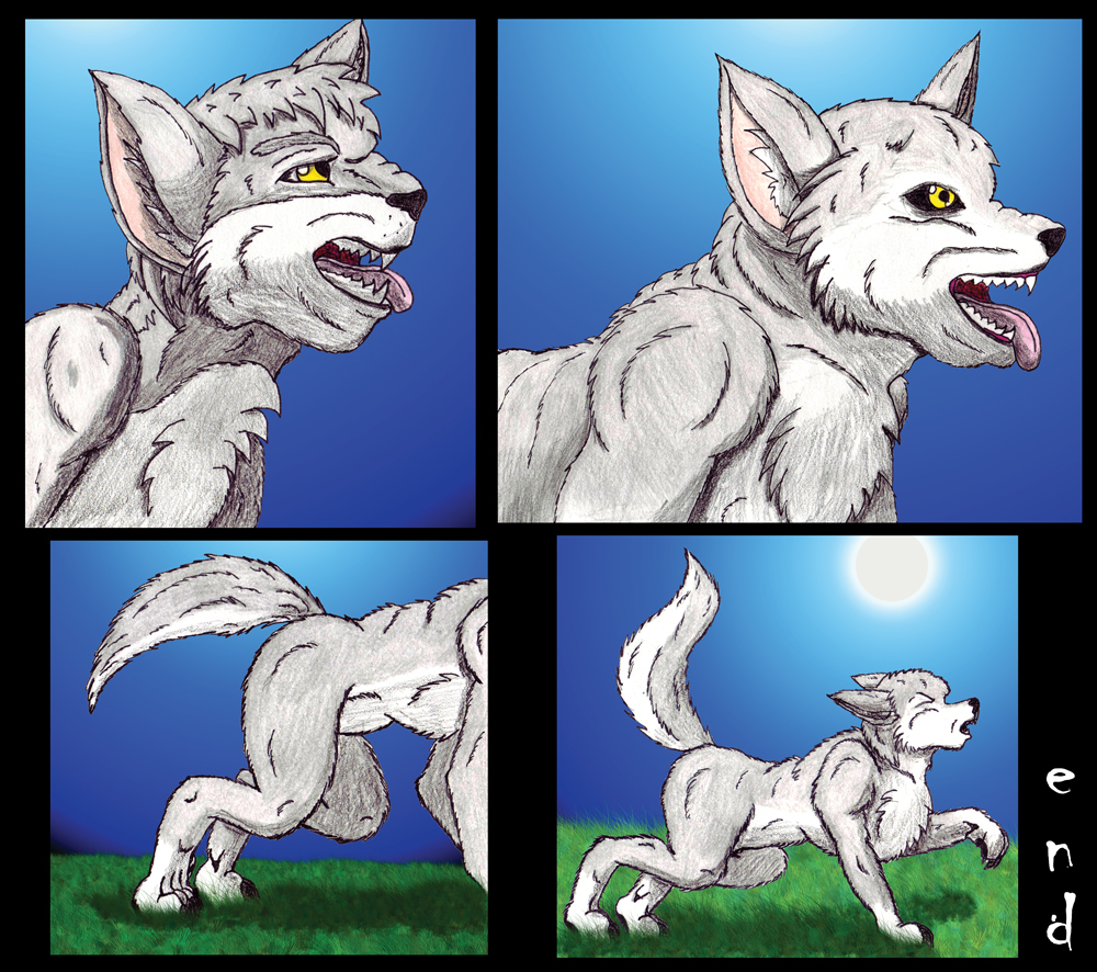 Submission -Old Wolf TF- by TimidTabby