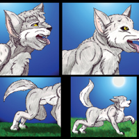 Sequence Image 3