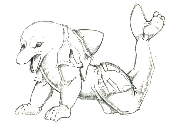 nm-guydolphinTF by Tincrash