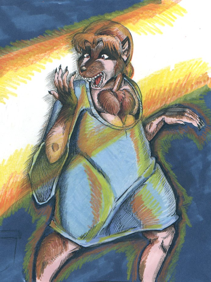 nm-raccoontf-- by Tincrash