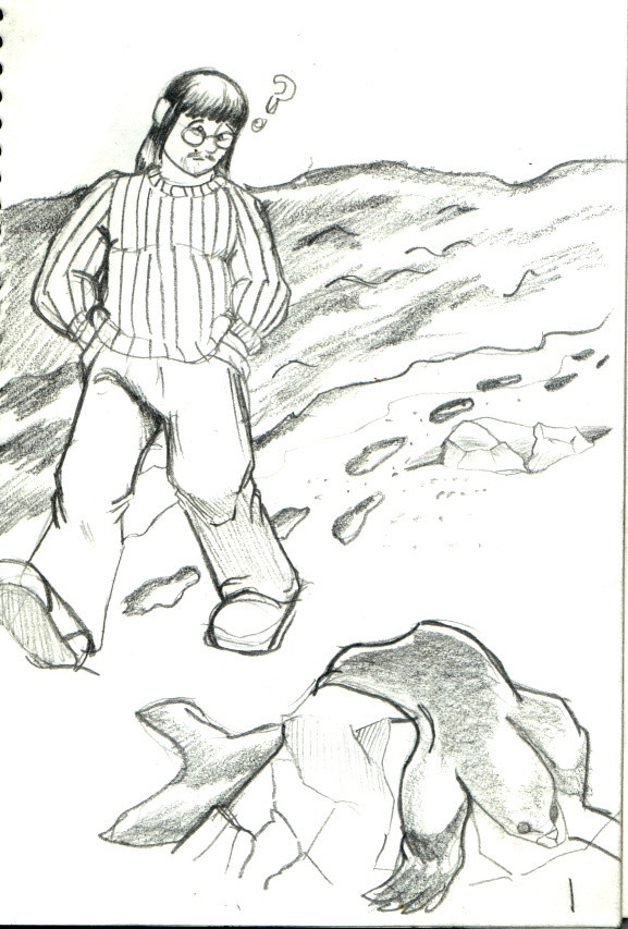 nm-sealskin by Tincrash