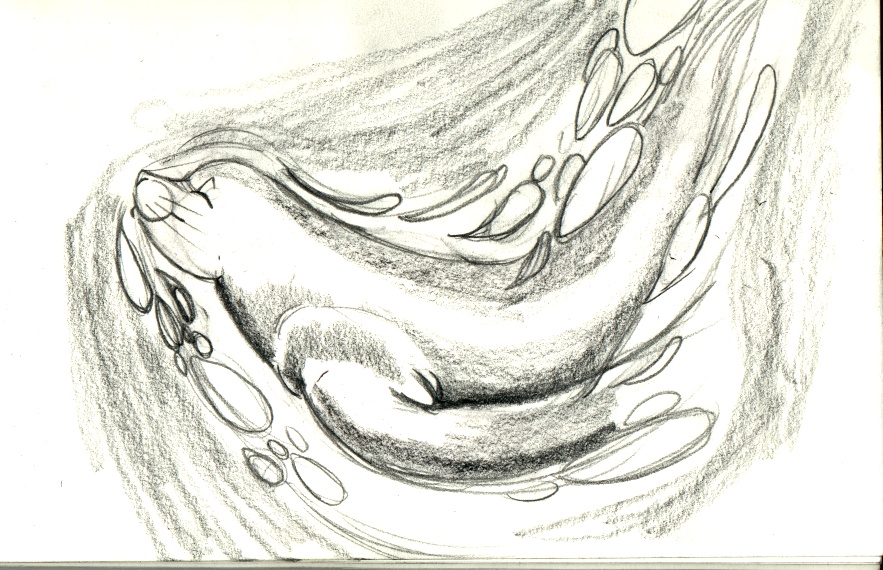 nm-sealskin by Tincrash