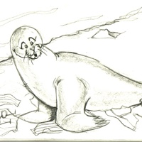 Sequence Image 7