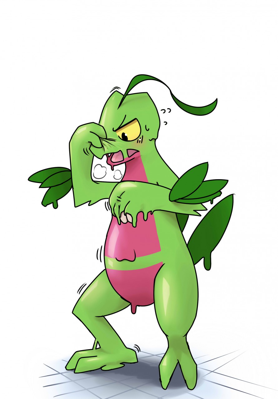 Grovyle TF by Sa_no