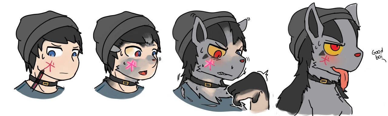 Mightyena TF by Sa_no