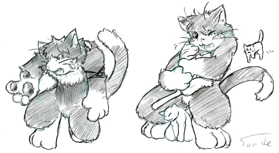 Cat TF by Tonde