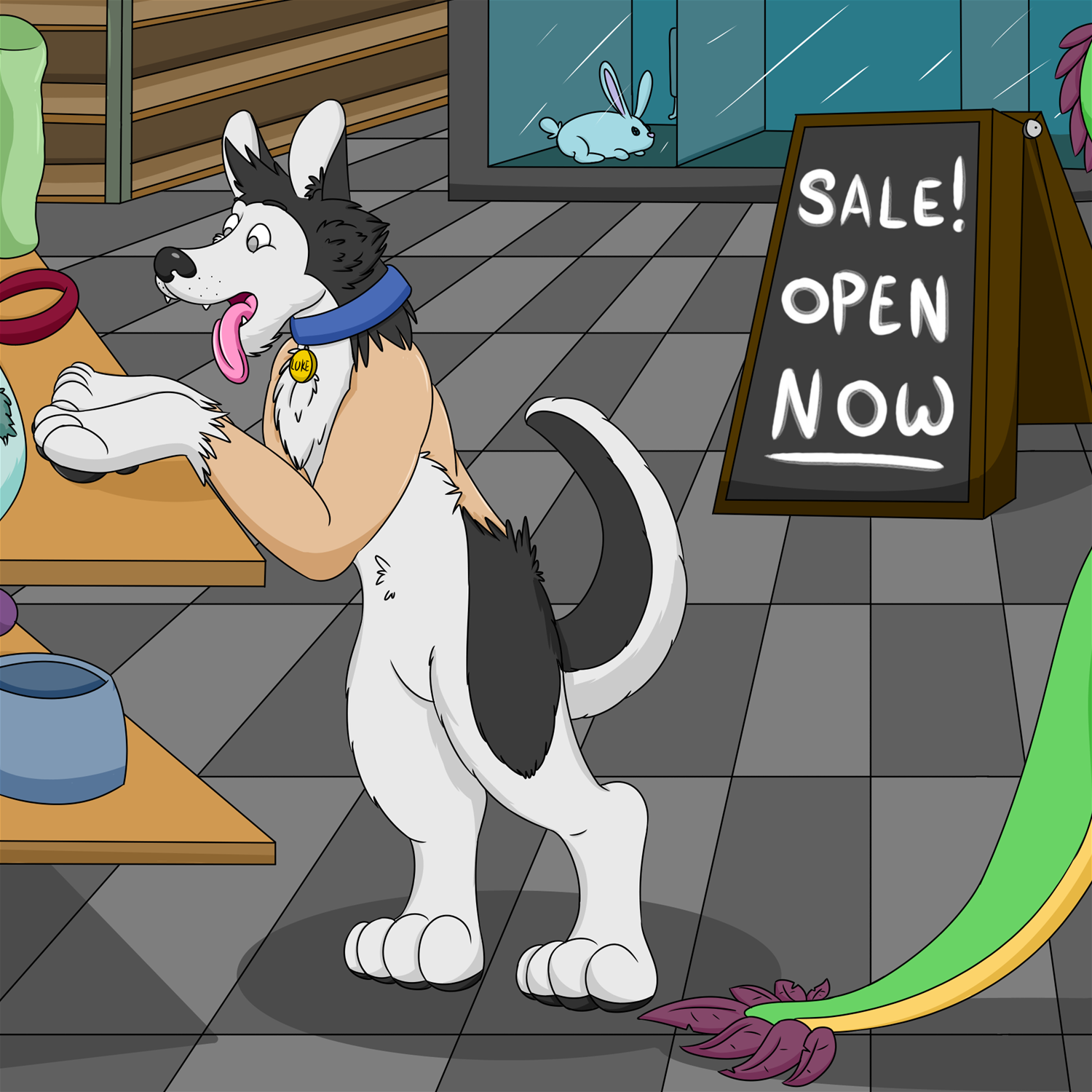 Husky - Stage by TransformationAnonymous