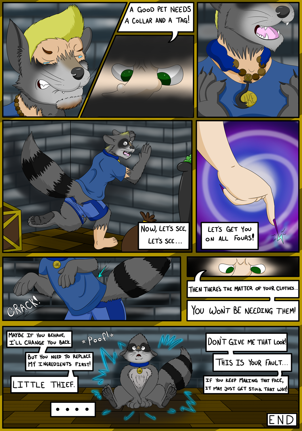 Caught and Coon'd by TransformationAnonymous