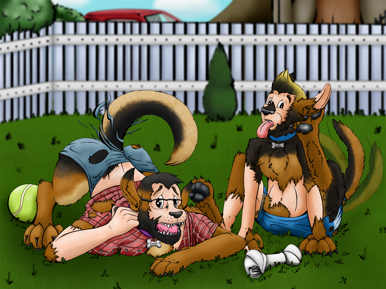A New Set of Dogs by TransformationAnonymous