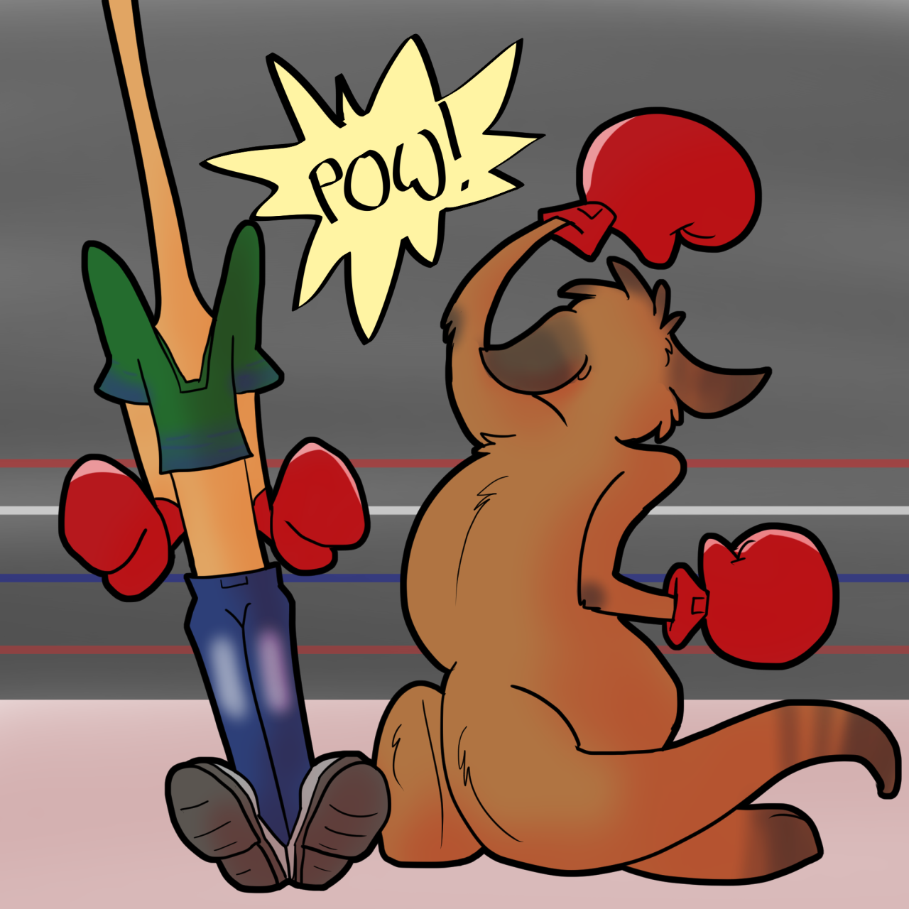 Kangaroo Boxing Match by Trevor_Fox