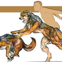 Marcus Quick-Shift by Urbanvixen
