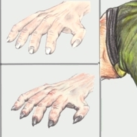 Sequence Image 8