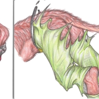 Sequence Image 10