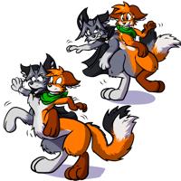 Sequence Image 3