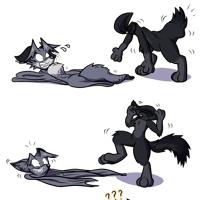 Sequence Image 3