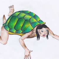 Turning Turtle! by Vyper