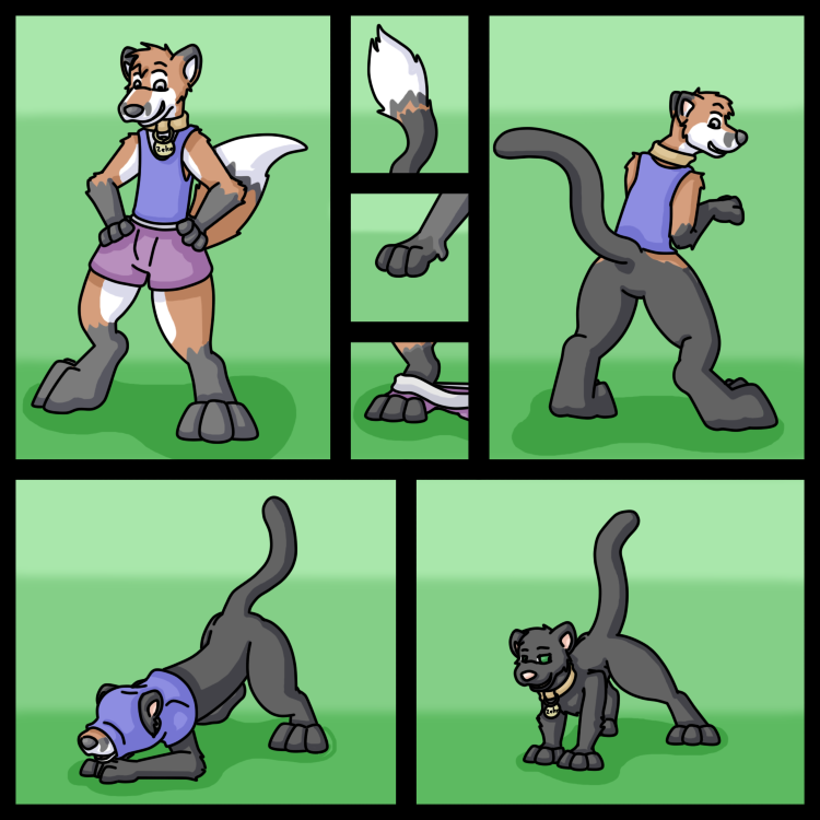 Cat Collar by Weazel75