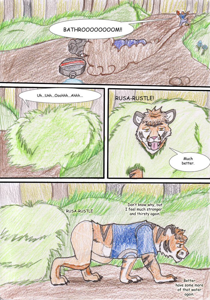 walk in the woods by Wrathofautumn