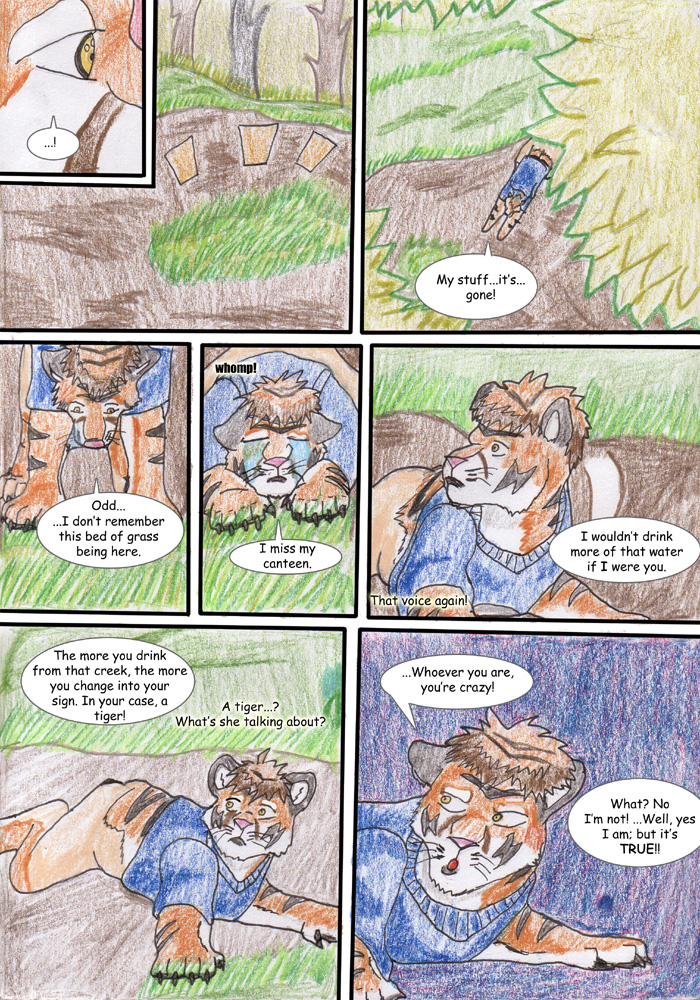 walk in the woods by Wrathofautumn