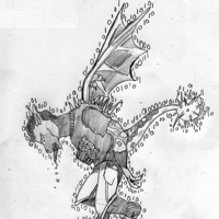 Sequence Image 5