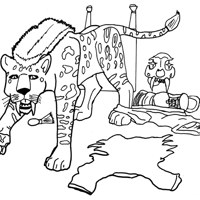 Sequence Image 3