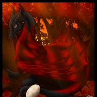 Sequence Image 12