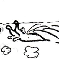 Sequence Image 5