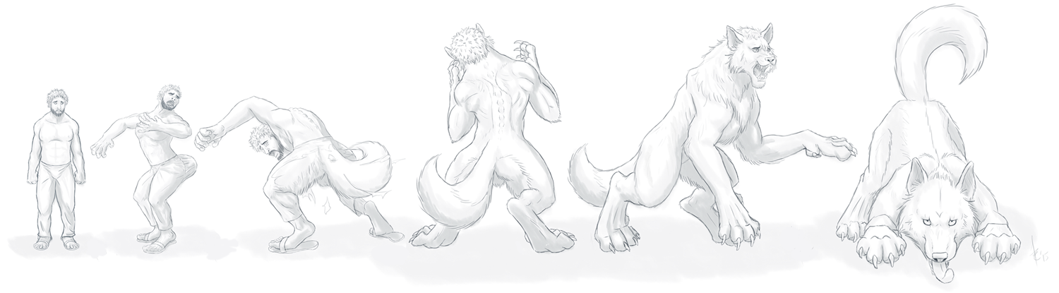Big wolf by Zibyr