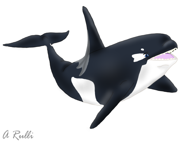 ($) (Old) Dragoniade Orca TF Sequence (2013) by Adaru32