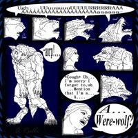 Sequence Image 3