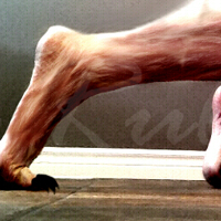 Sequence Image 6