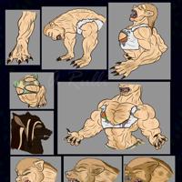 Sequence Image 5