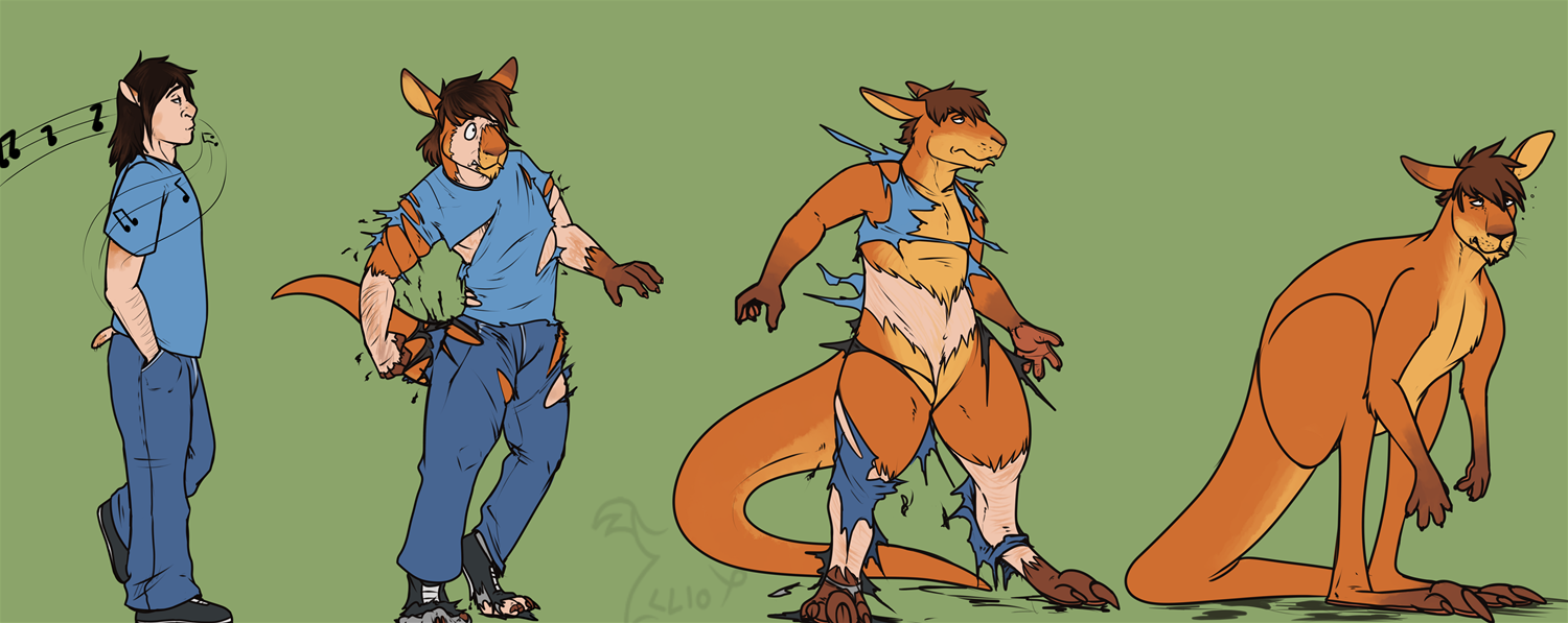 Lostcat461 Roo TF by BinturongBoss