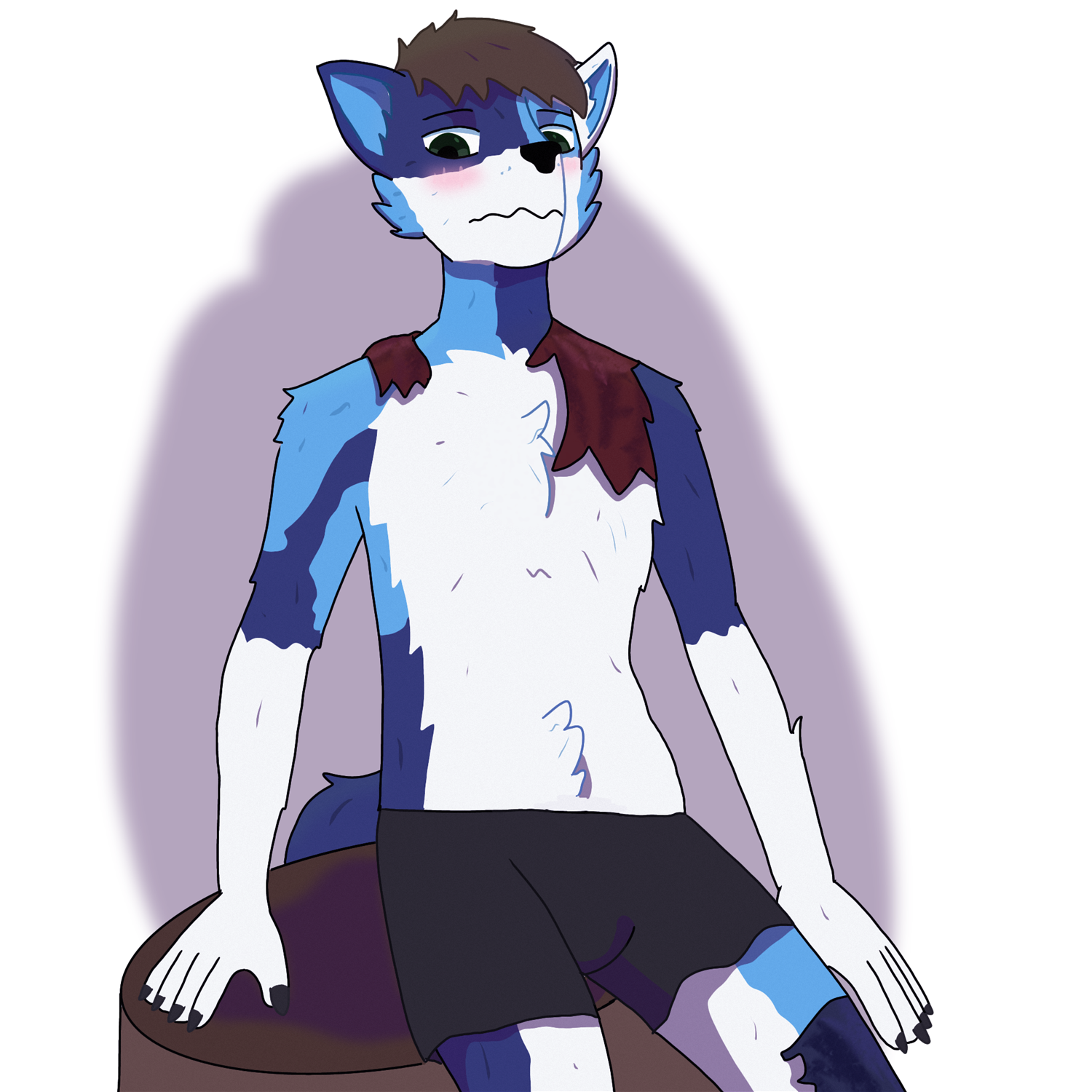 Octransfur 2023 Day 6: Sona TF by Briandabluefox 