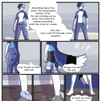 Sequence Image 2