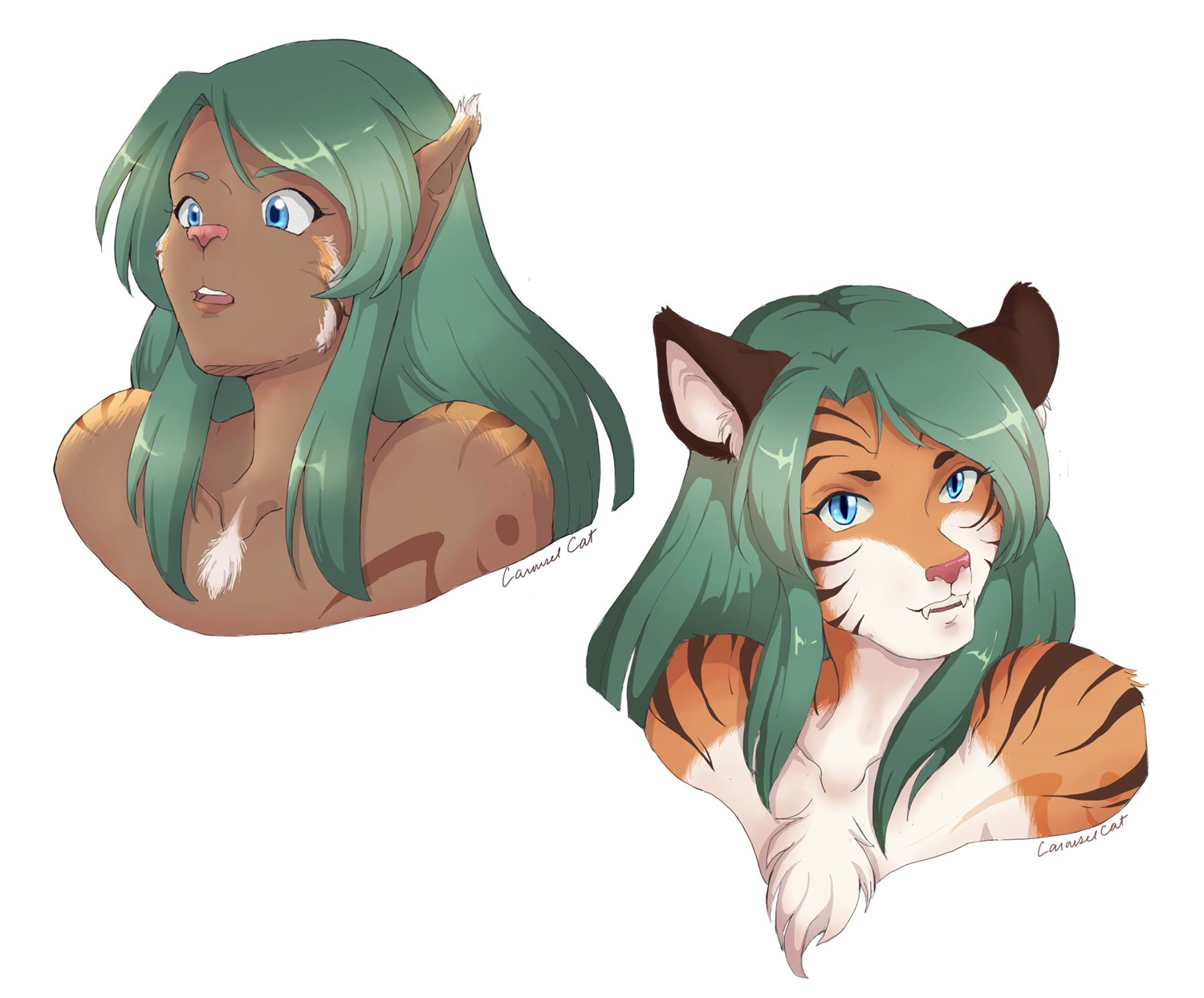 Tiger Lyn Sequece by Carousel-Cat