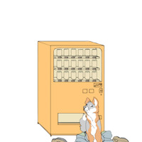 Sequence Image 5