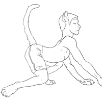 Sequence Image 2