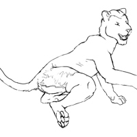 Sequence Image 3