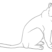 Sequence Image 4